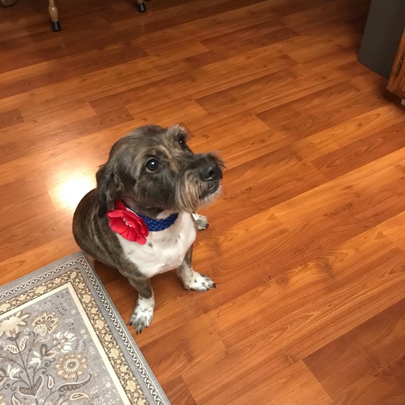 Meet your Posher, Catherine - Picture 3 of 3